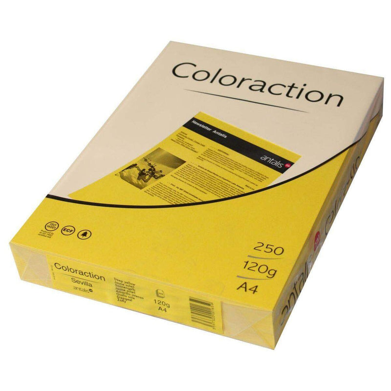 antalis-kopierpapier-din-a4-120-4F21E6A41.jpg