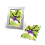avery-zweckform-2559-20-premium-93960DE92.jpg