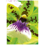 avery-zweckform-2559-20-premium-93960DE93.jpg