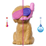 barbie-puppy-pool-party--1A4ED7494.jpg