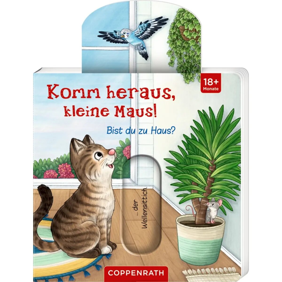 Coppenrath Verlag Komm heraus, kleine Maus! Bist du zu Haus?