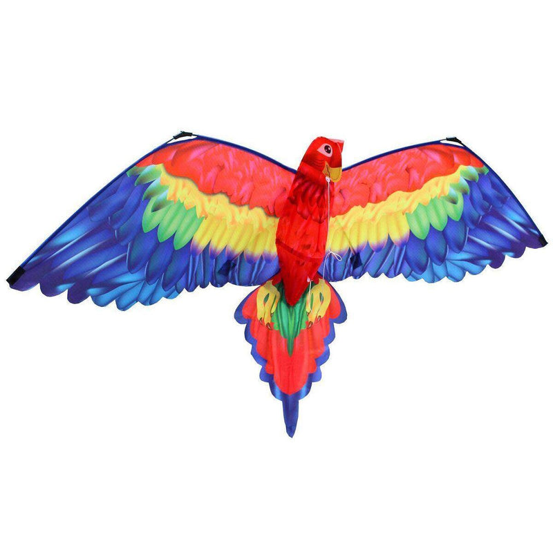 guenther-3d-einleinerdrachen-cora-9222E6B31.jpg