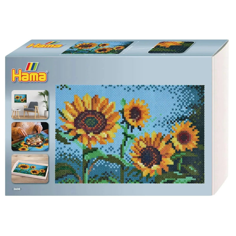 hama-midi-buegelperlen-grosse-geschenk-2905DD141.jpg
