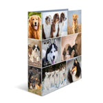 herma-motiv-ordner-hunde-a4-71EBA2121.jpg