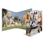 herma-motiv-ordner-hunde-a4-71EBA2122.jpg
