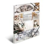 herma-sammelmappe-a3-karton-katzen-24E78EC71.jpg
