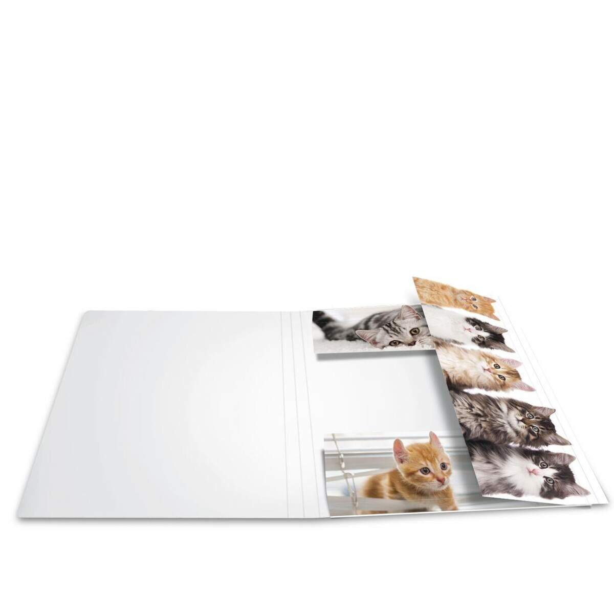herma-sammelmappe-a3-karton-katzen-24E78EC72.jpg