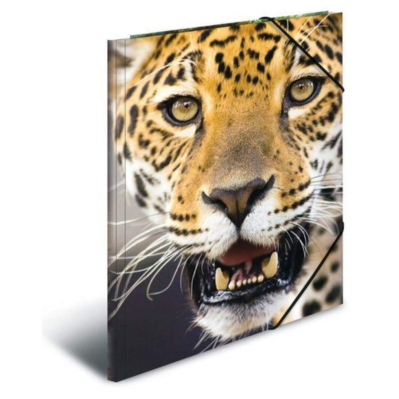 herma-sammelmappe-leopard-a3-A55B07F71.jpg