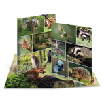 herma-sammelmappen-a4-karton-waldtiere-2B06B2A61.jpg