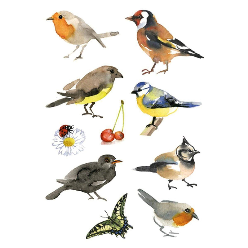 herma-sticker-aquarell-voegel-5F17875E1.jpg