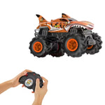 hot-wheels-monster-trucks-rc-54E81C382.jpg