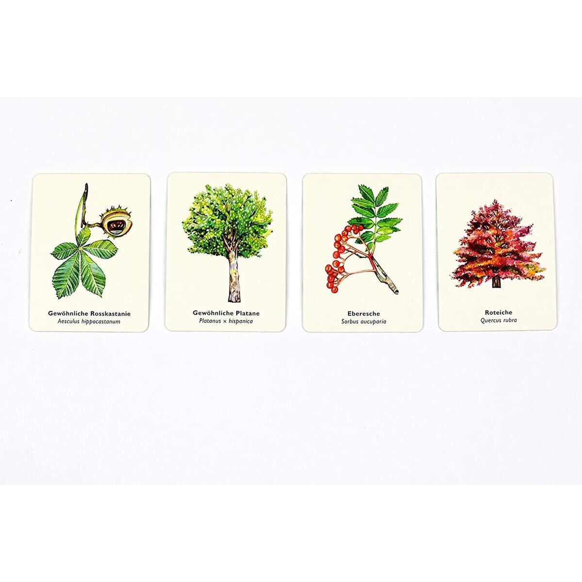 laurence-king-verlag---B6BC3C4B2.jpg