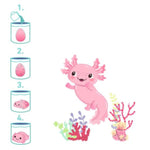 moses. Schlüpfender Axolotl, 1 Stück, 2-fach sortiert