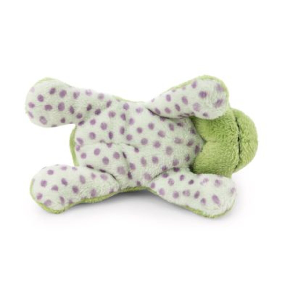 nici-magnici-frosch-fridolin-frog-B0364D6E4.jpg