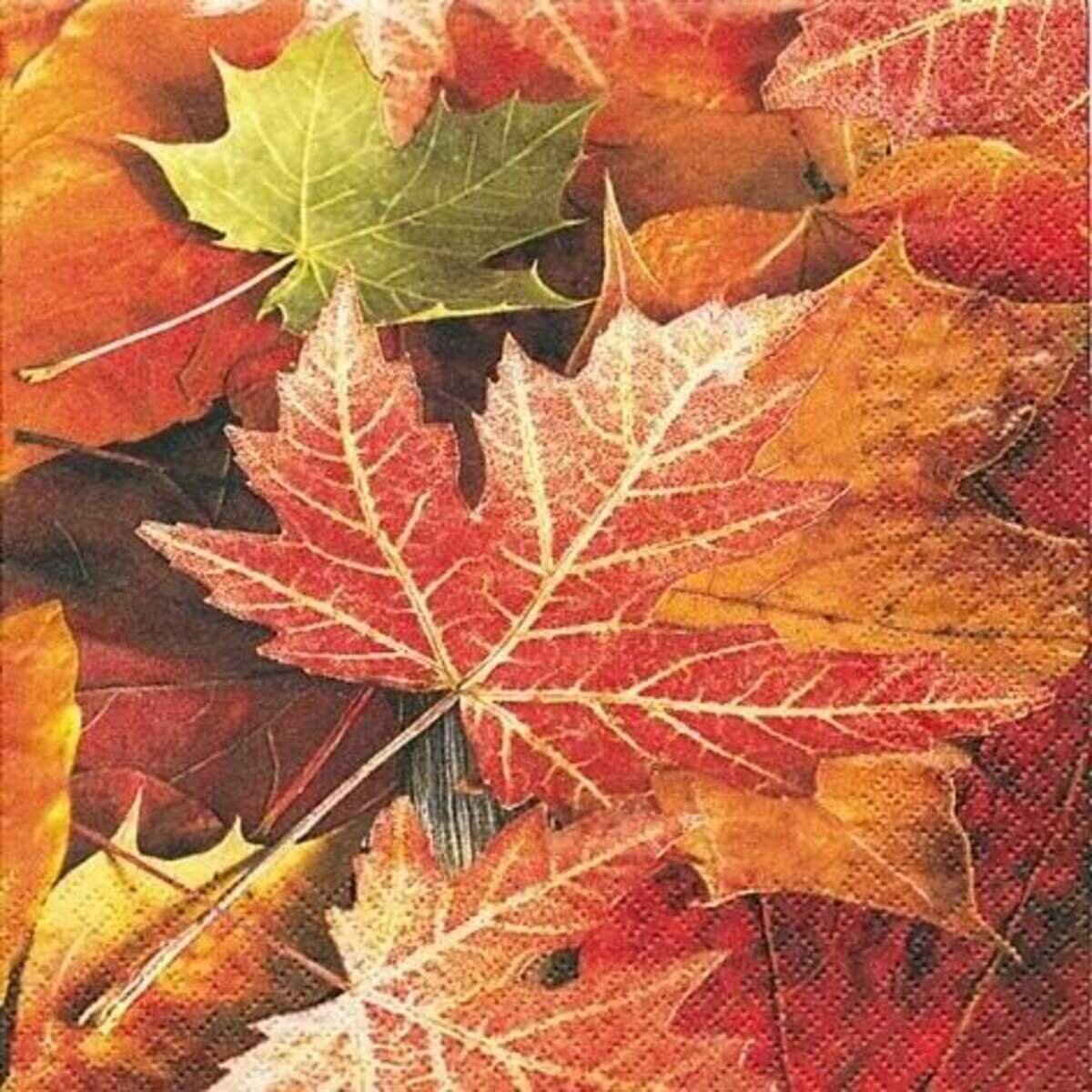 paperdesign-servietten-herbst-20-stueck-E6776A751.jpg