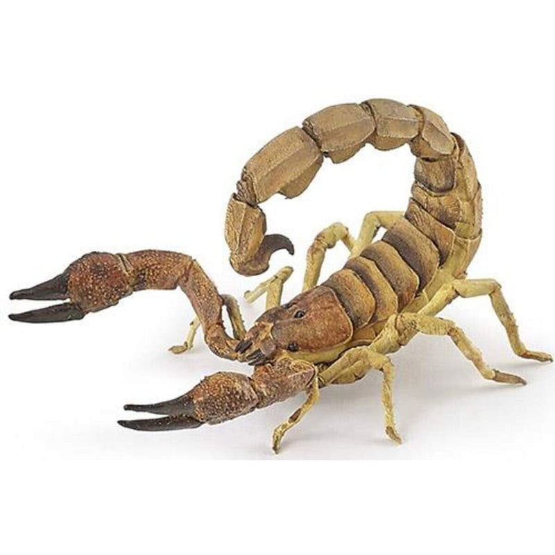 papo-50209-skorpion-wildtier-2680E6551.jpg