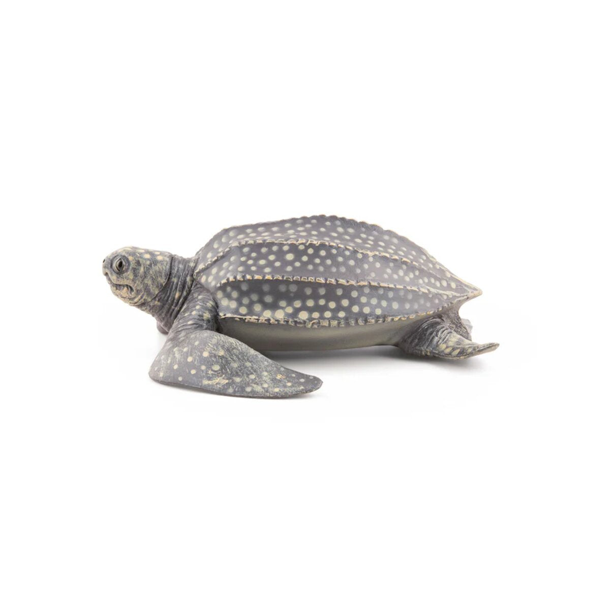 papo-56022-meeresuniversum-lederschildkroete-figur-A1382FFF5.jpg
