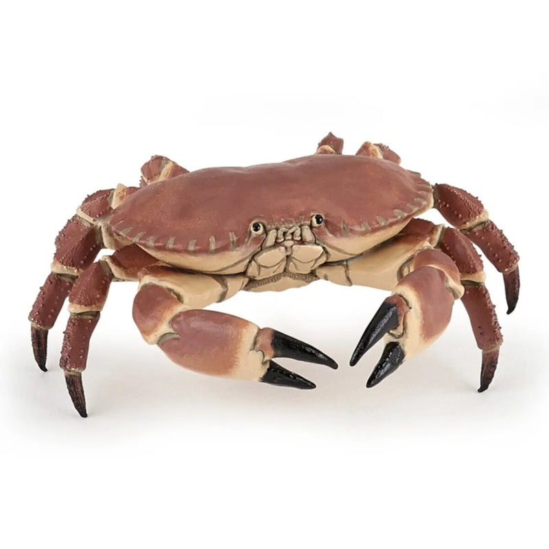 papo-56047-spielfigur-krabbe-25cm-C29159AE1.jpg