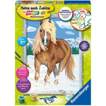 ravensburger-malen-nach-zahlen--06B50BA31.jpg