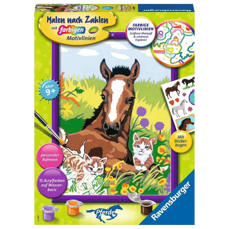 ravensburger-malen-nach-zahlen--0E98CE9D1.jpg
