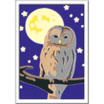 ravensburger-malen-nach-zahlen--23E864742.jpg