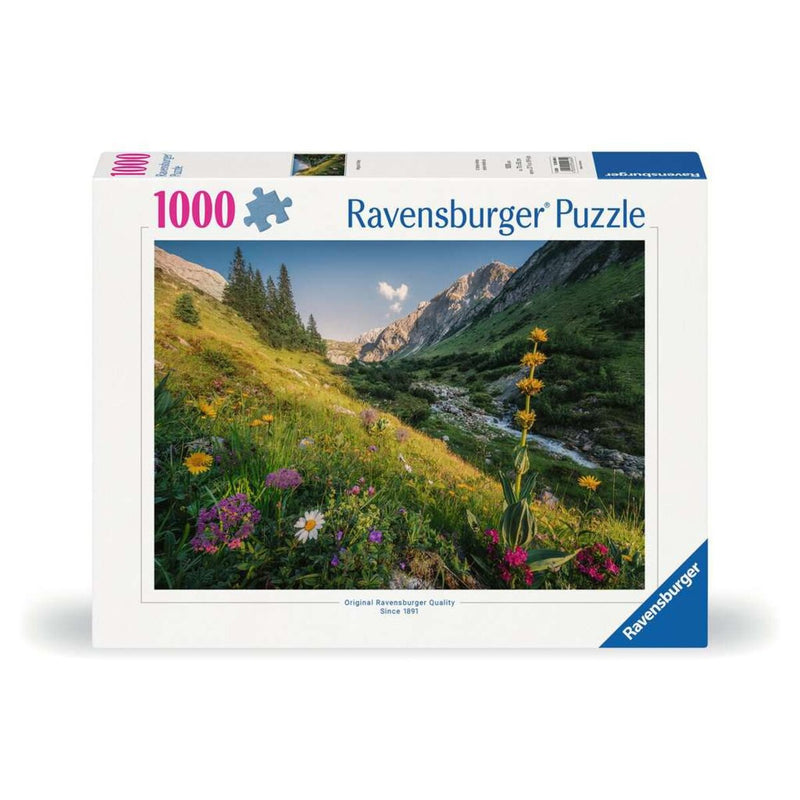 ravensburger-puzzle---im-85FAF52D1.jpg
