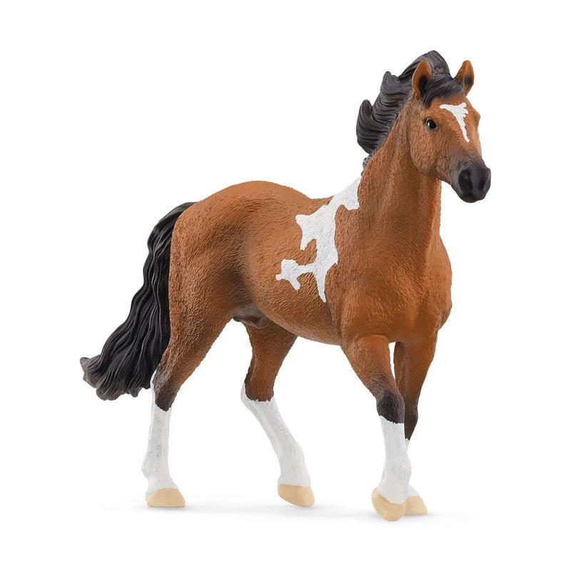 schleich-13978-horse-club--98BAD23D1.jpg