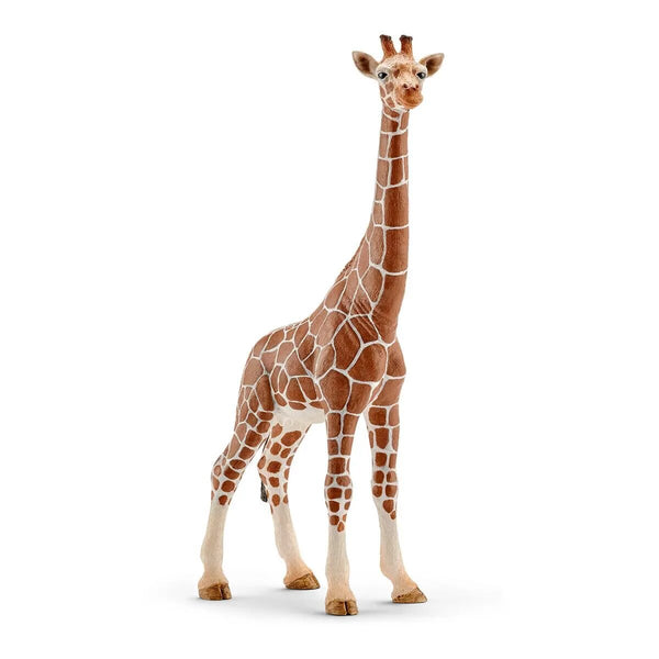schleich-14750-giraffenkuh-9F91AF401.jpg