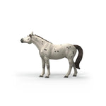 schleich-14916-knabstrupper-wallach-D93E80C92.jpg