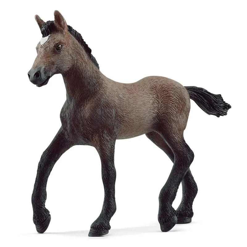 schleich-paso-peruano-fohlen--81BD54D51.jpg