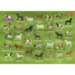 schmidt-spiele-schleich--horse-7E06E4023.jpg