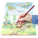 staedtler-noris-colour-187-buntstift-D6C467BA4.jpg