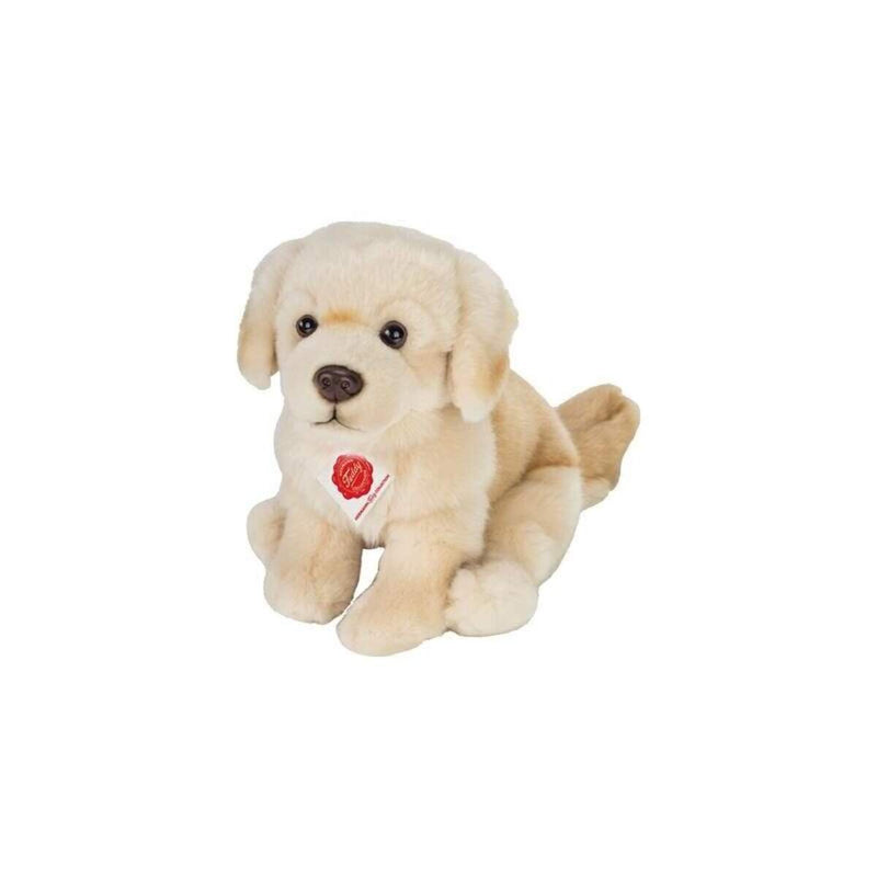 teddy-hermann-golden-retriever-sitzend-D38824801.jpg