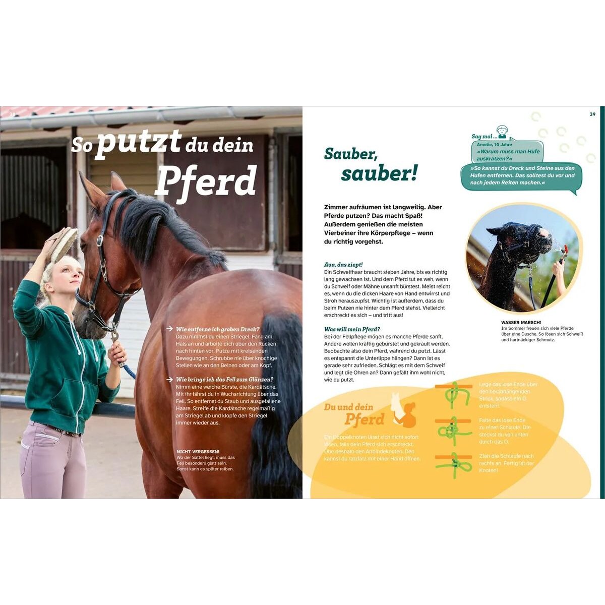 Tessloff WAS IST WAS Pferde. Freunde, Freiheit, Abenteuer