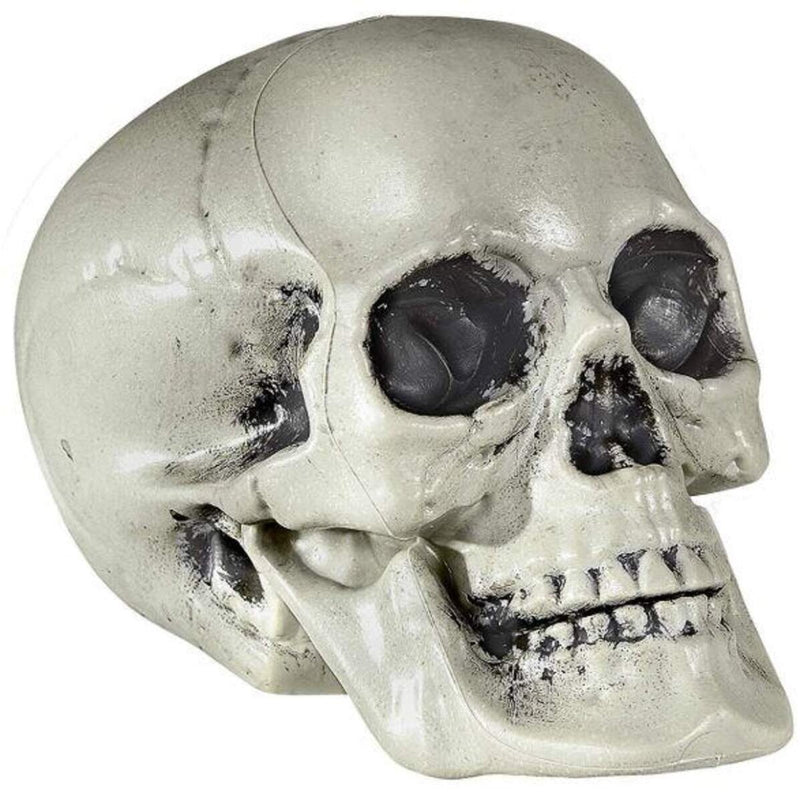 widmann-totenkopf-aus-plastik-21-B71F3C541.jpg