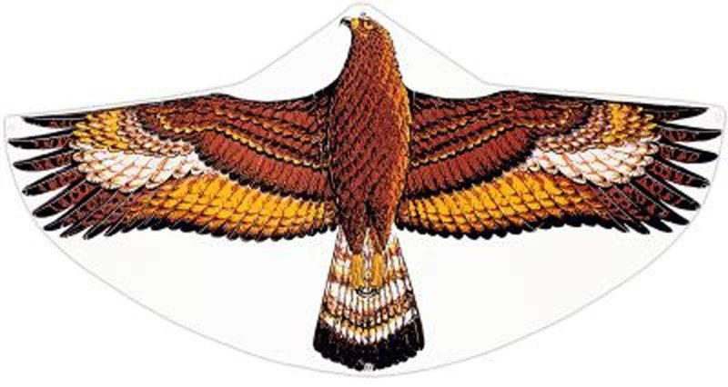 Günther Kinderdrachen Steinadler