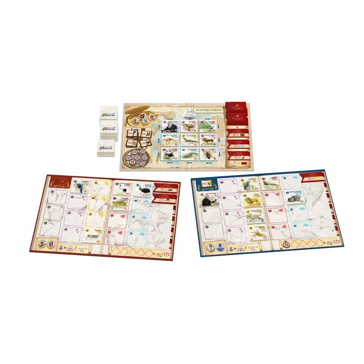 asmodee-auf-den-wegen-von-76B4372A4.jpg