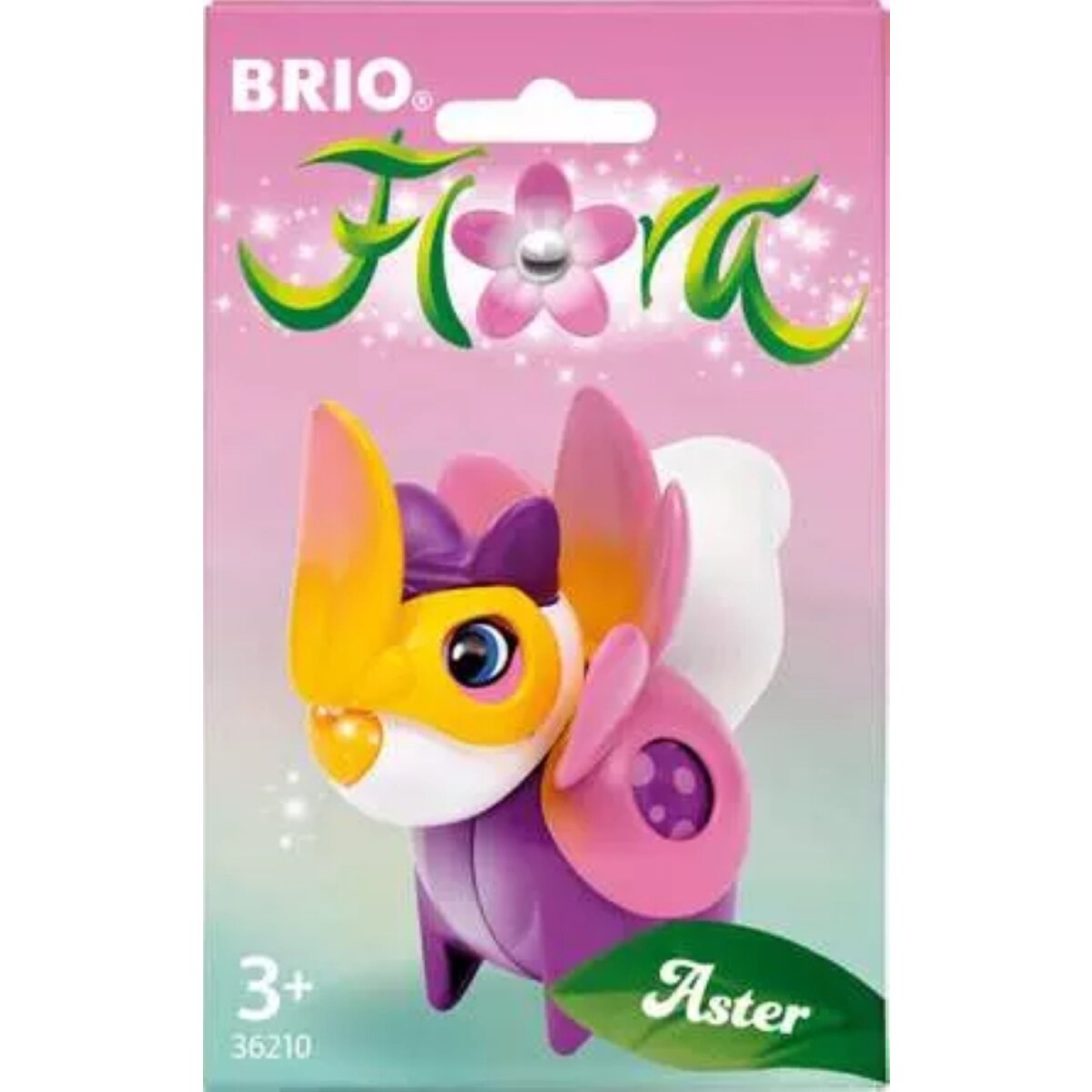 brio-flora-aster-im-blumen-51A207444.jpg