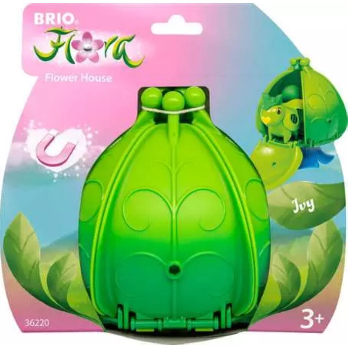 brio-flora-ivys-blumenhaus-F852BD5D4.jpg