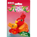 brio-flora-zinnia--peach-C35D77354.jpg