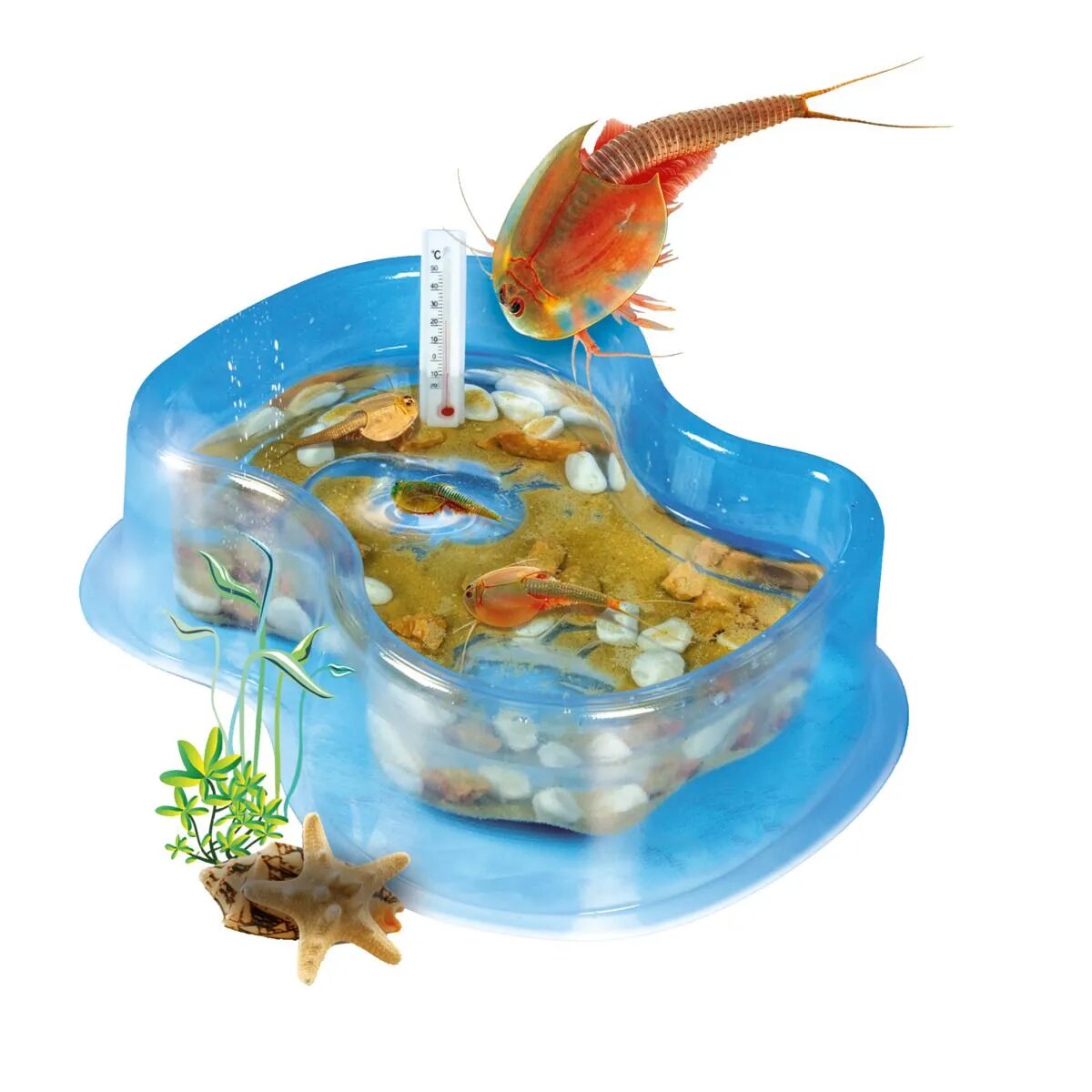 clementoni-galileo-triops-starter-set-48C0BE582.jpg