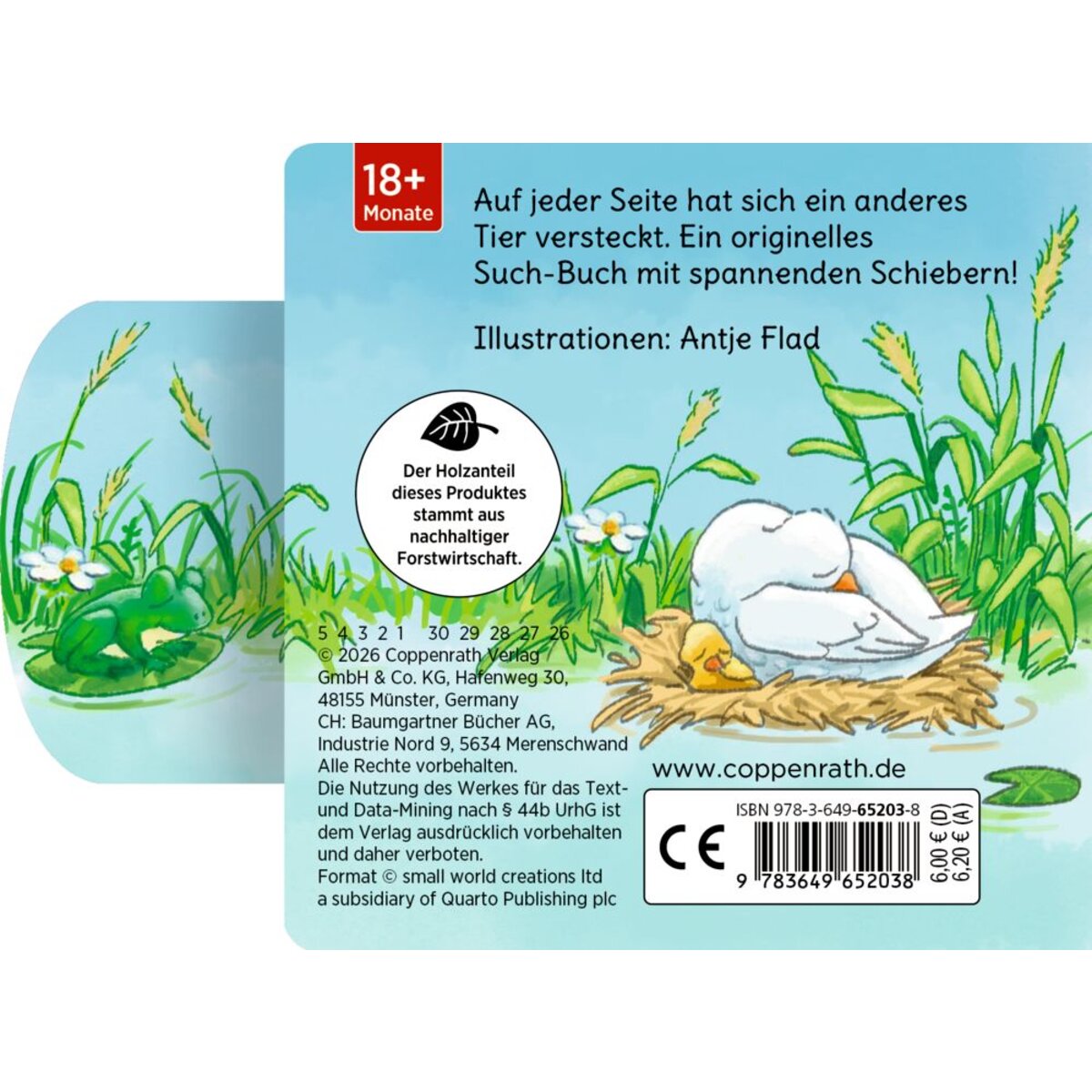coppenrath-verlag-65203-minifanten-47-9BFA0EC73.jpg