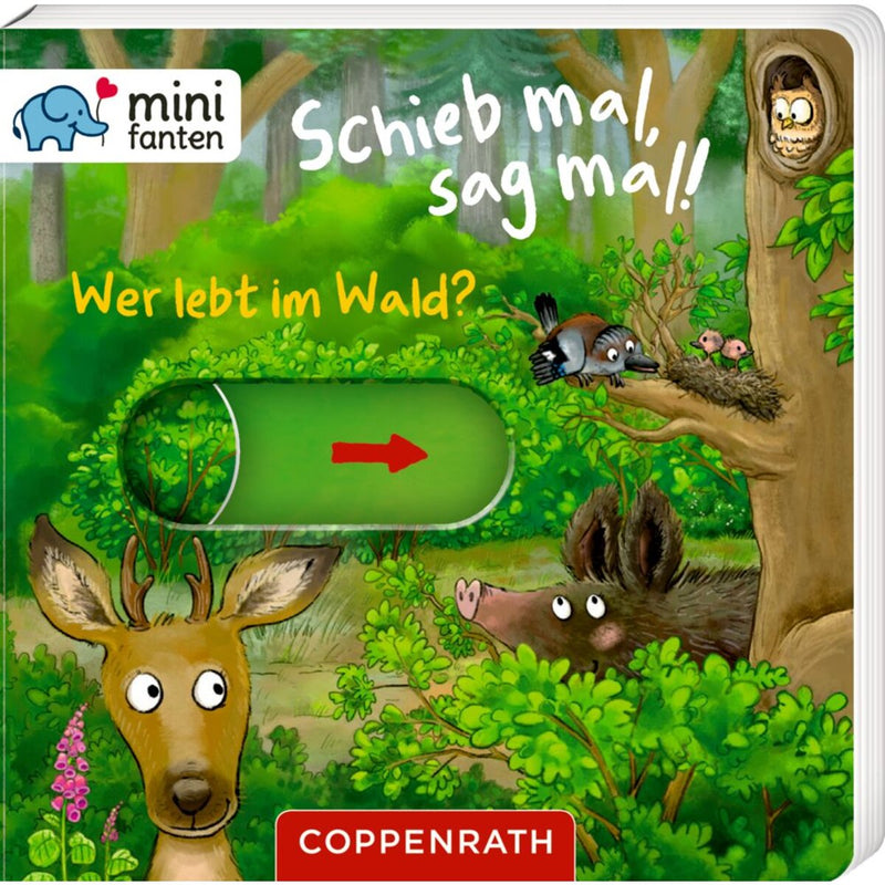 coppenrath-verlag-65239-minifanten-48-8BCC19E41.jpg