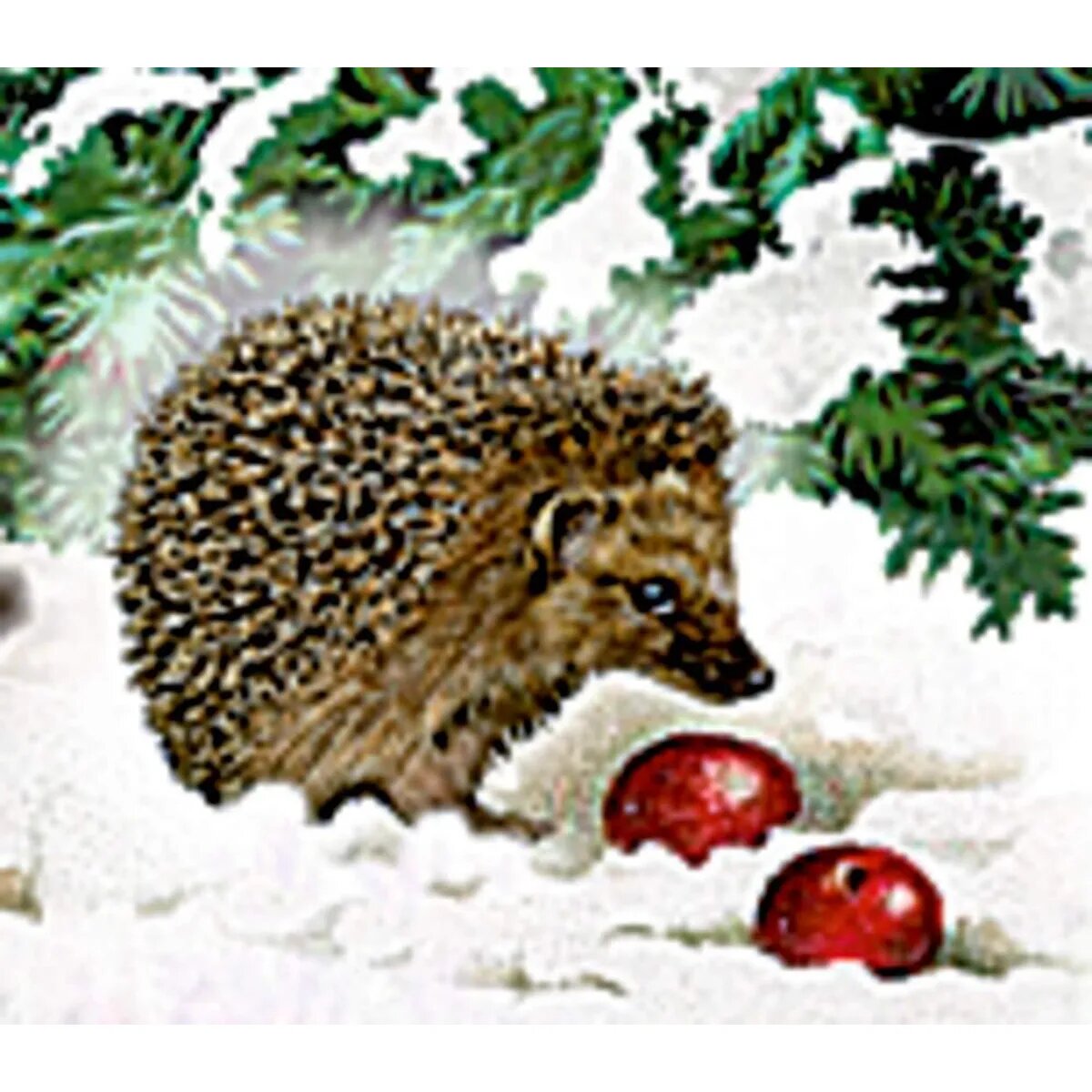 Coppenrath Verlag Eisenbahn-Tanne, Wand-Adventskalender (B.Behr)