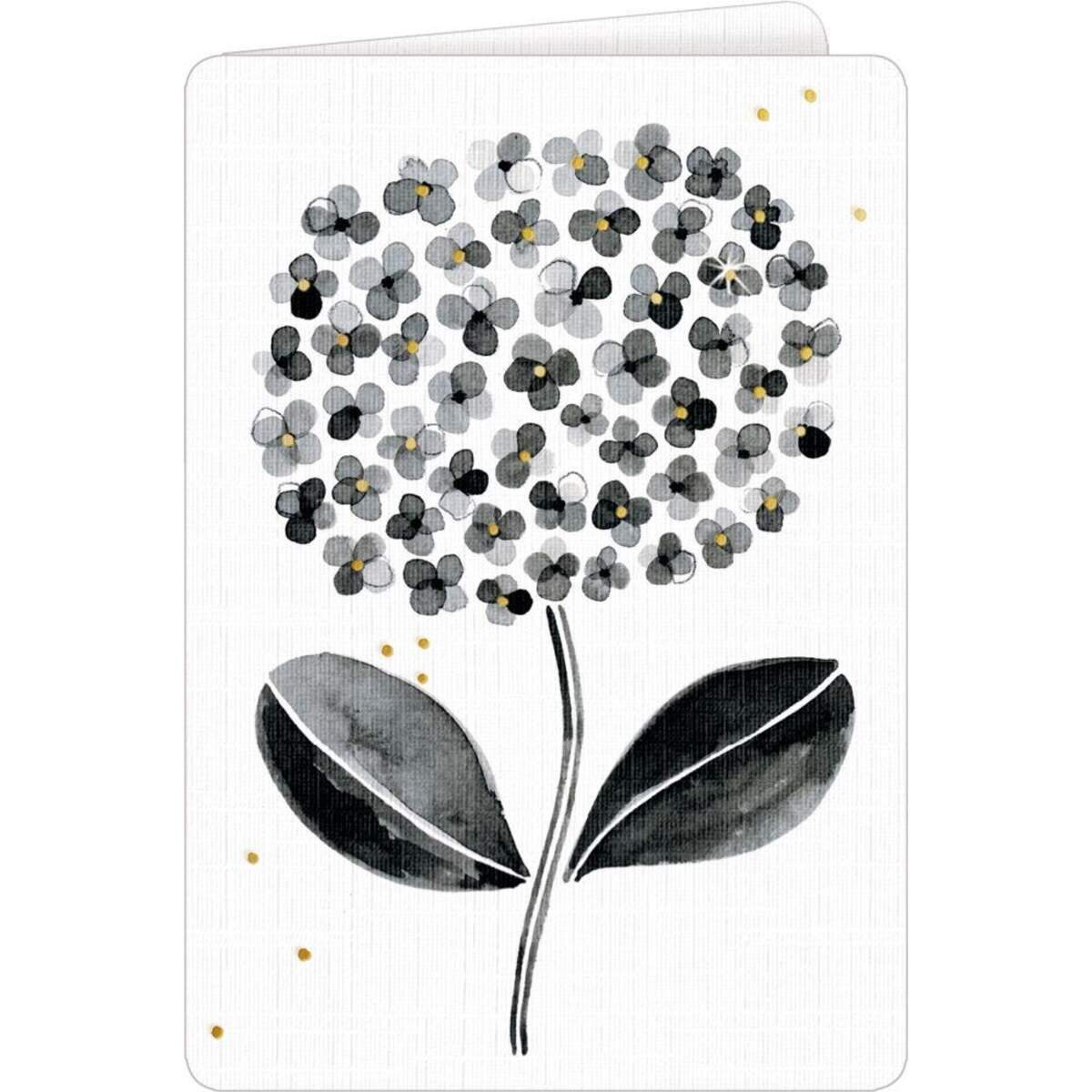 Coppenrath Verlag Grußkarte mit Kuvert All about black & white, 1 Stück, 6-fach sortiert