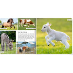 Coppenrath Verlag Meine liebsten Tiere auf dem Bauernhof