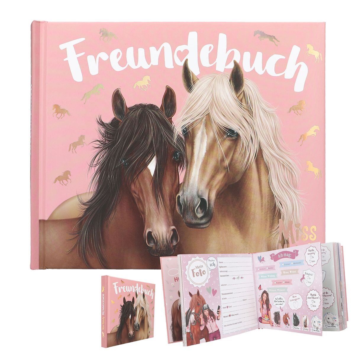 depesche-miss-melody-freundebuch-motiv-21C460601.jpg