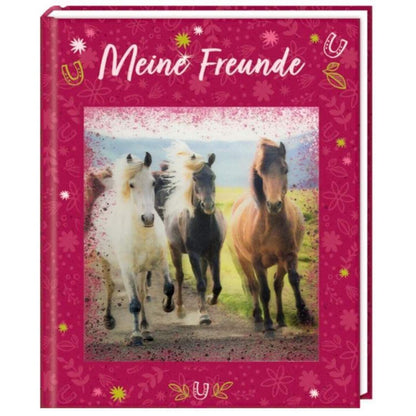 Die Spiegelburg Freundebuch: Pferdefreunde -