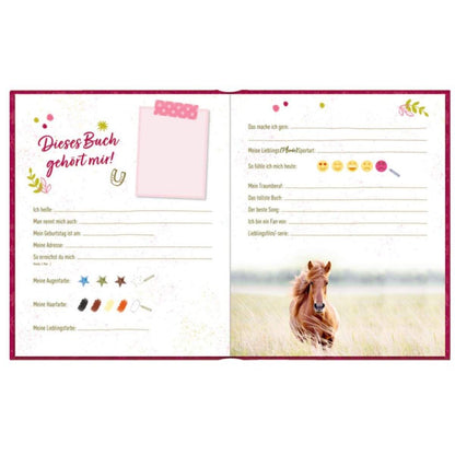 Die Spiegelburg Freundebuch: Pferdefreunde -