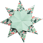 folia-d-meissner-sterne-set-9BAB24332.jpg